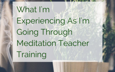 What I’m Experiencing As I’m Going Through Meditation Teacher Training