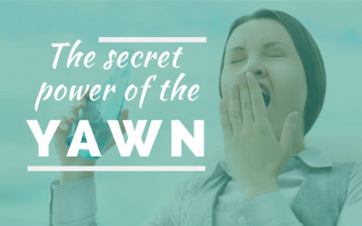 The secret power of the yawn