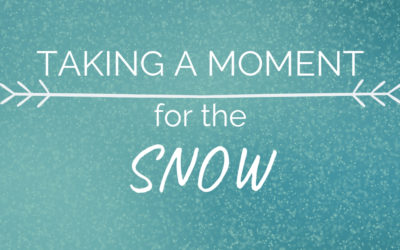 Taking a Moment…For the Snow