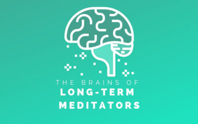 The brains of long-term meditators