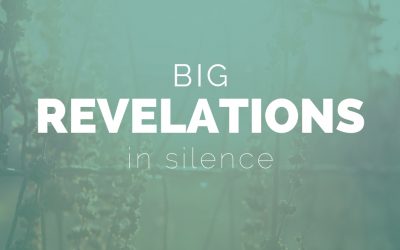 Big Revelations In Silence